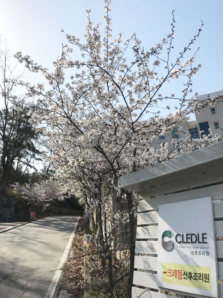 크래들의 특별함